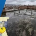 Impermeabilizar techo: cómo identificar filtraciones antes de que el daño avance